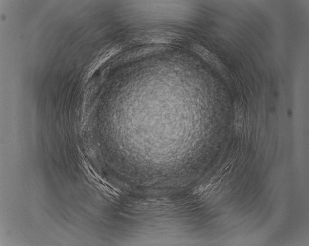 X0000057090386200509301556