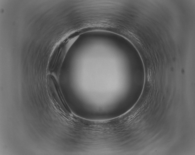 X0000057090388200509301556