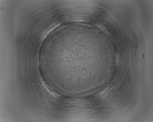 X0000057090390200509301556