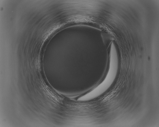 X0000057090391200509301556