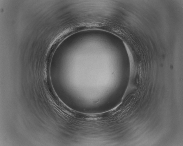 X0000057090392200509301556