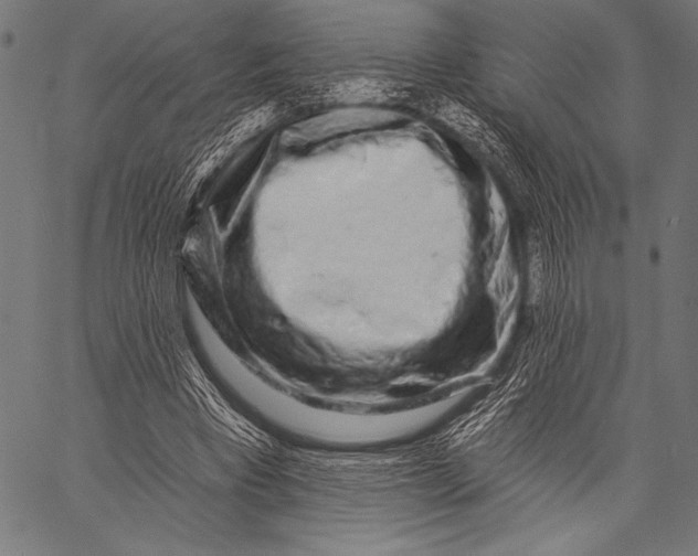 X0000057090393200509301556