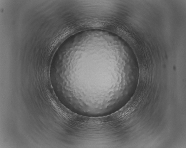 X0000057090394200509301556