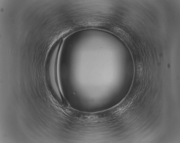 X0000057090395200509301556