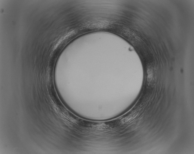 X0000057090396200509301556