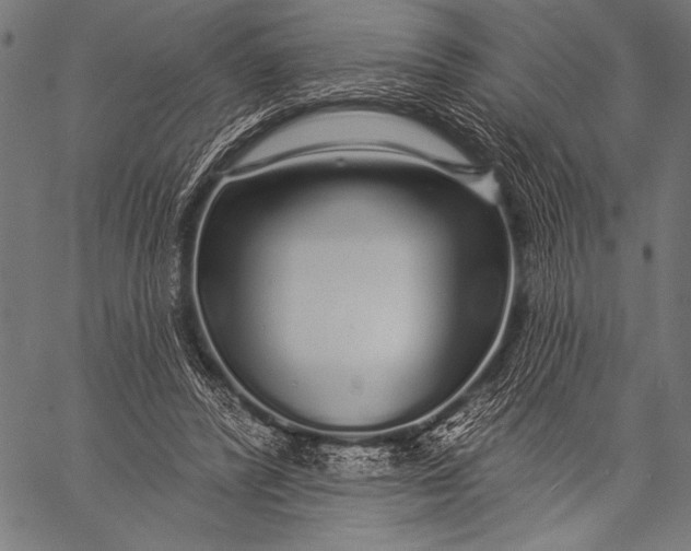 X0000057090400200509301556