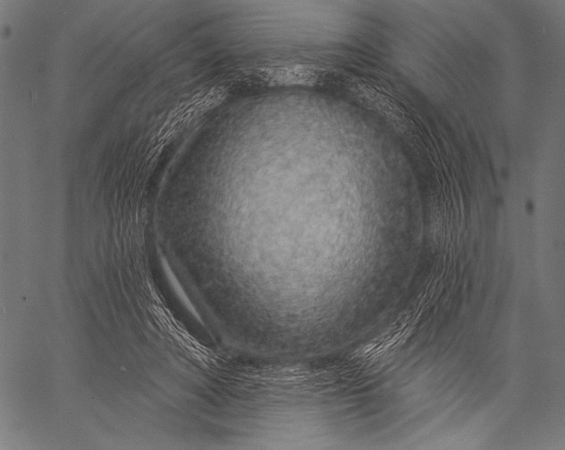 X0000057090402200509301556