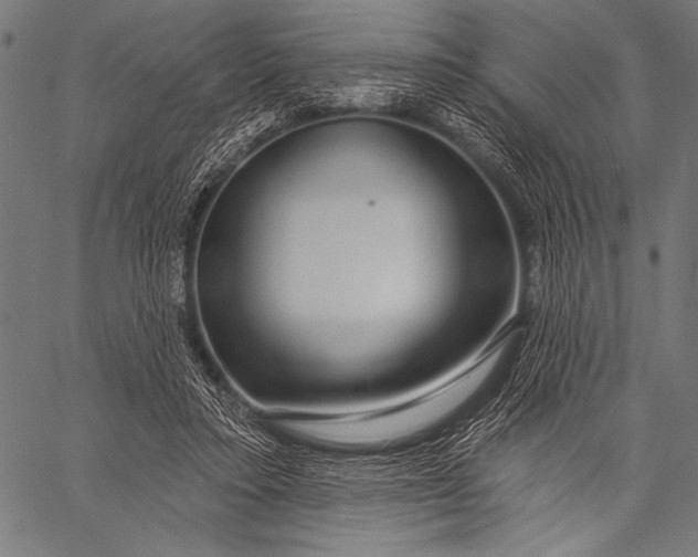 X0000057090403200509301556