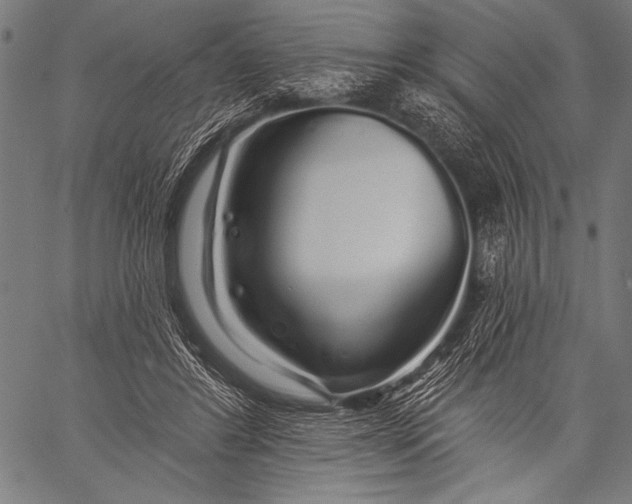 X0000057090404200509301556