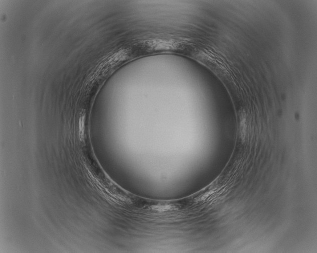 X0000057090406200509301556