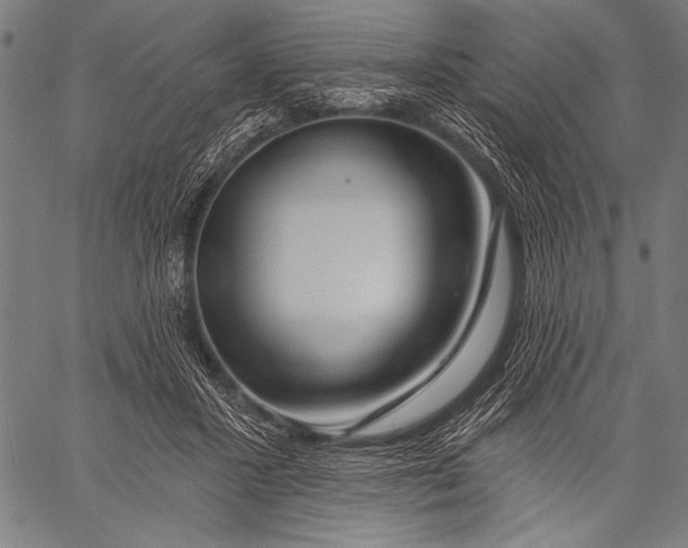 X0000057090407200509301556