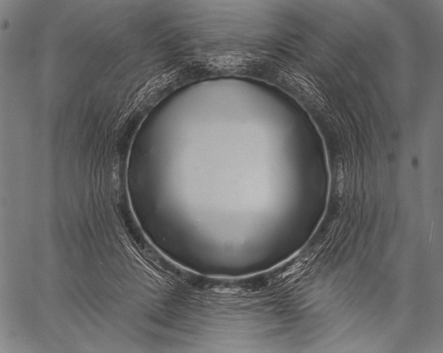 X0000057090408200509301556