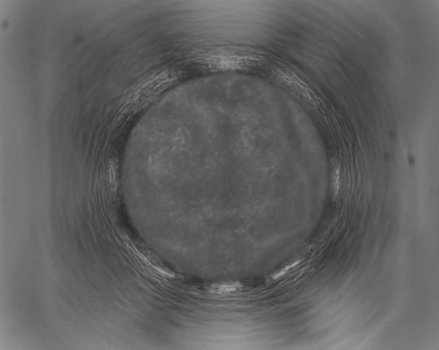 X0000057090410200509301556