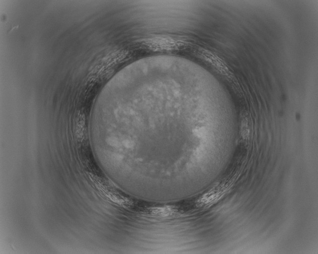 X0000057090411200509301556