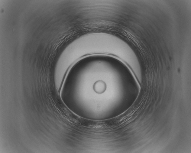 X0000057090412200509301556