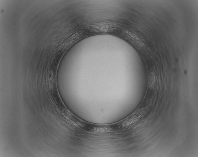 X0000057090414200509301556