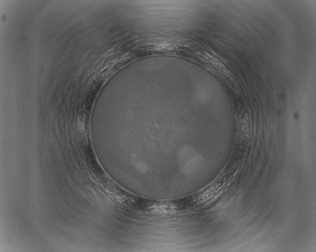 X0000057090415200509301556