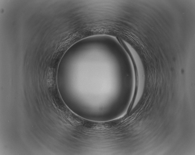 X0000057090416200509301556