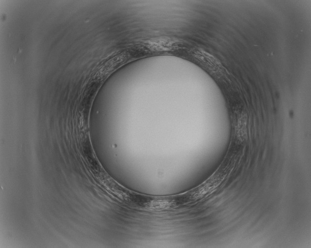 X0000057090418200509301556