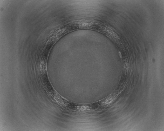 X0000057090419200509301556