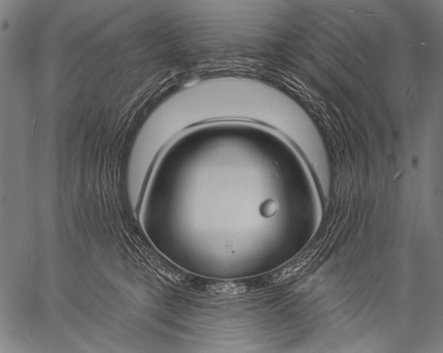 X0000057090421200509301556