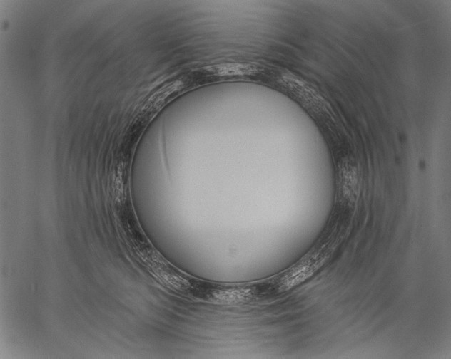 X0000057090422200509301556