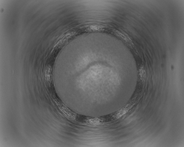 X0000057090423200509301556