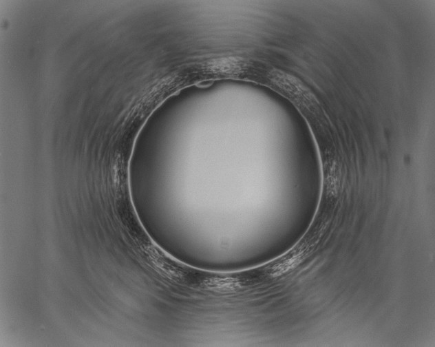 X0000057090424200509301556