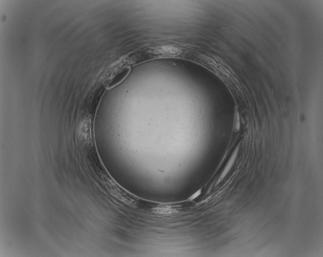 X0000057090425200509301556