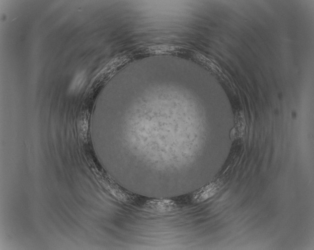 X0000057090427200509301556