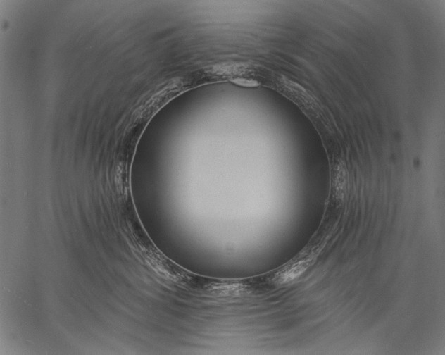 X0000057090428200509301556