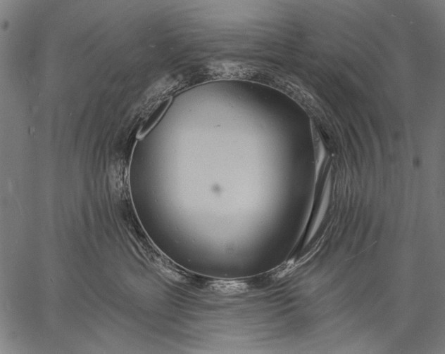 X0000057090429200509301556