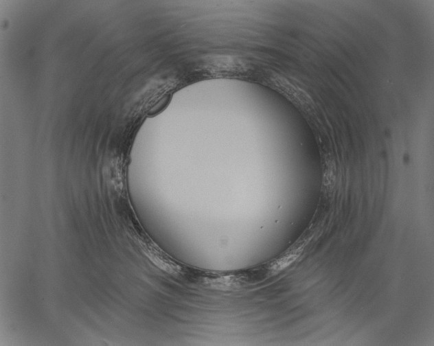 X0000057090430200509301556