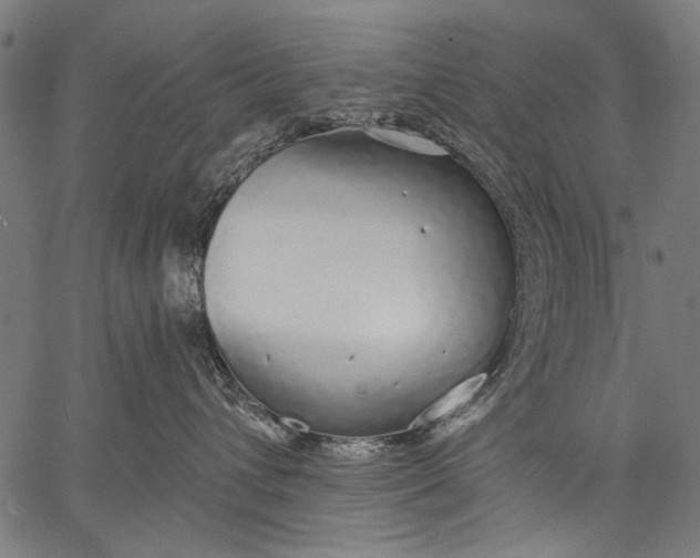 X0000057090432200509301556