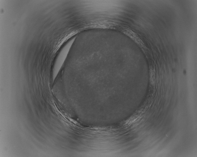 X0000057090434200509301555