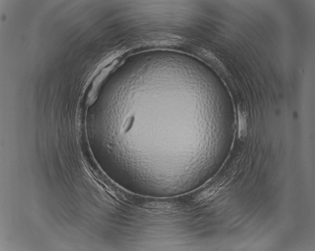 X0000057090435200509301555