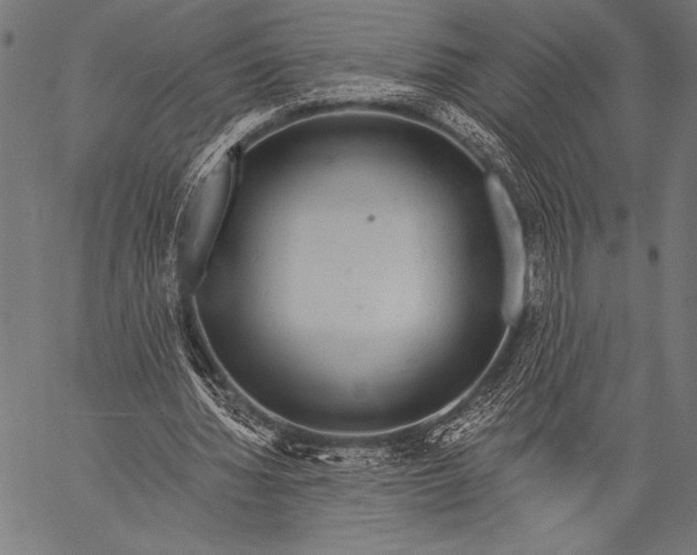 X0000057090436200509301555