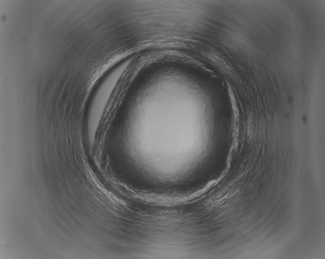 X0000057090438200509301555