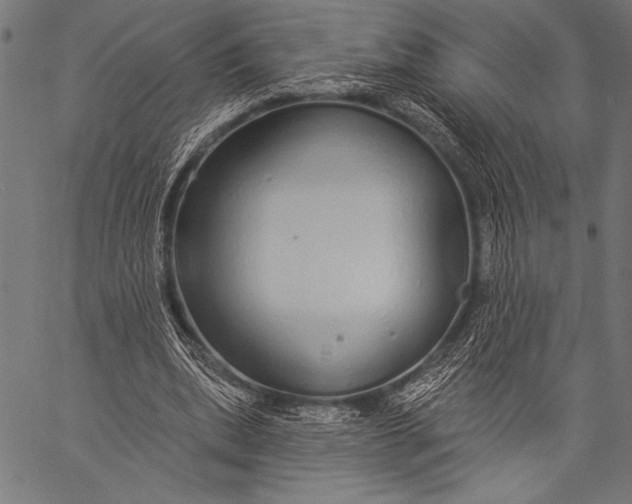 X0000057090439200509301555