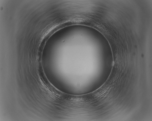 X0000057090440200509301555