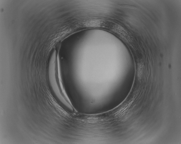 X0000057090441200509301555