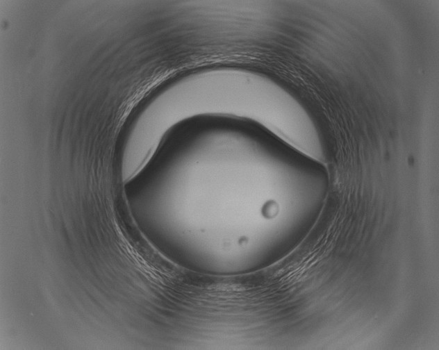 X0000057090444200509301555