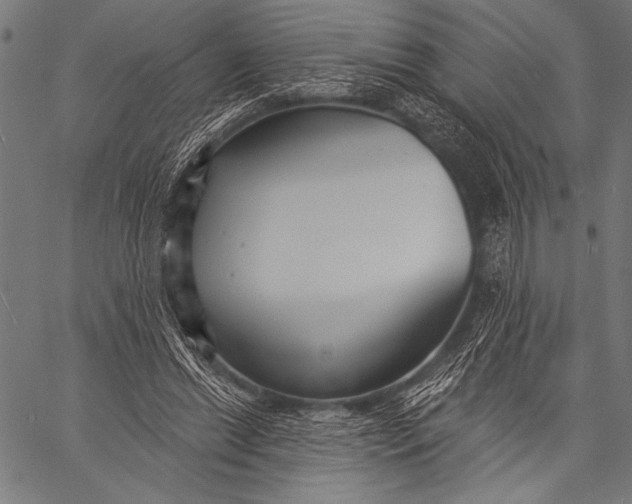 X0000057090446200509301555