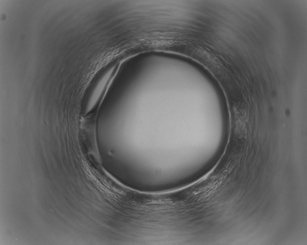 X0000057090447200509301555