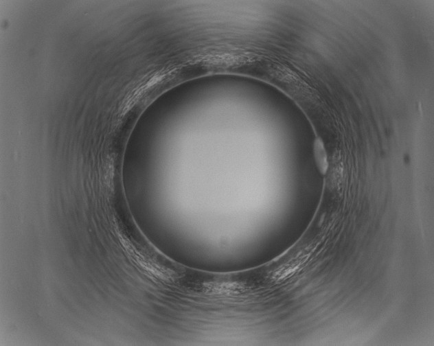 X0000057090448200509301555