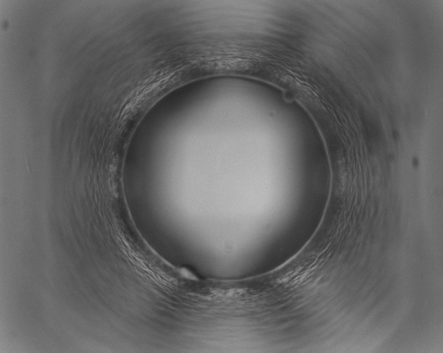 X0000057090450200509301555