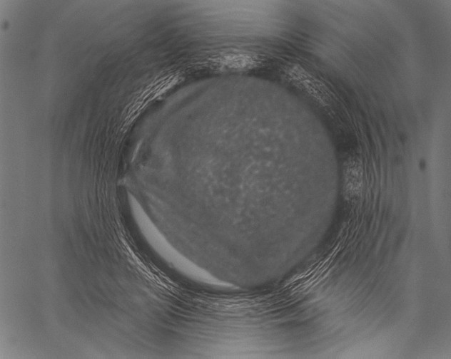 X0000057090451200509301555