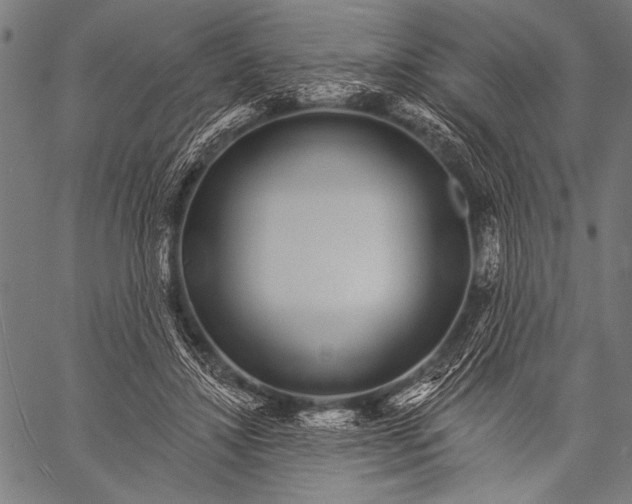 X0000057090452200509301555