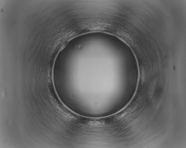 X0000057090453200509301555