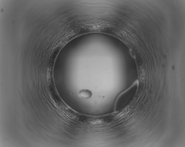 X0000057090456200509301555